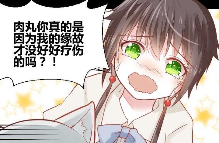 第29话 心疼肉丸！(1/2)-第16话