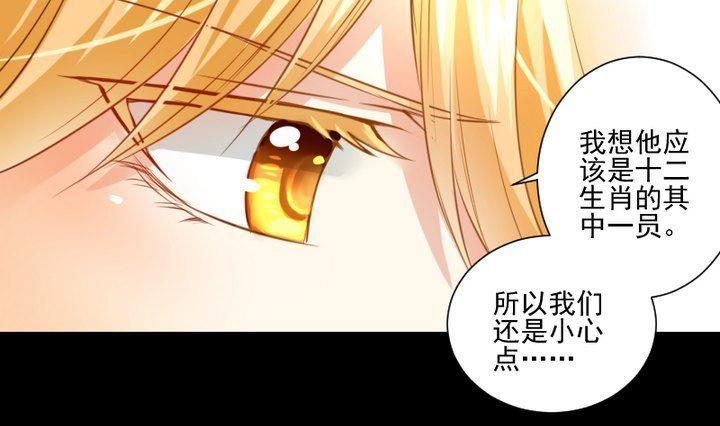 第61话 兔子的初恋-第48话