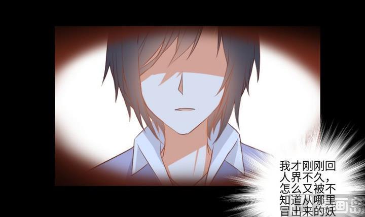 第92话 犬猫鼠的&ldquo;三角恋&rdquo;-第78话