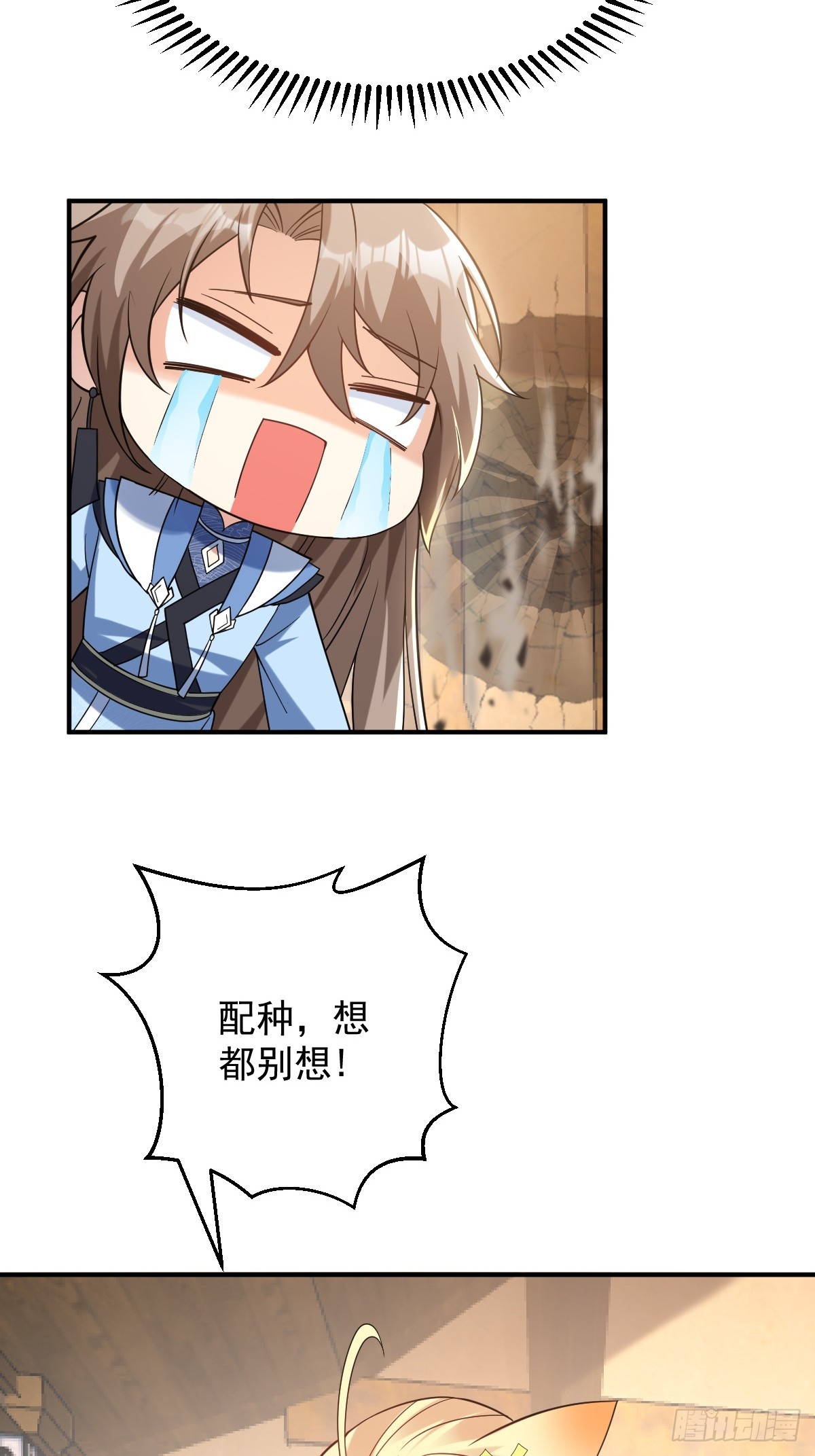 第十八话-给你的猫相亲？-第20话