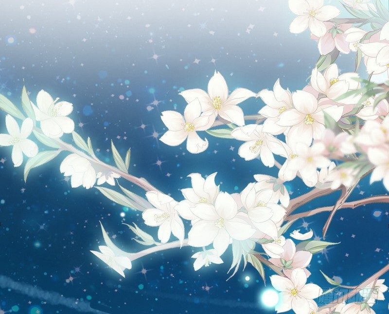 第2话 救人的报酬-第2话