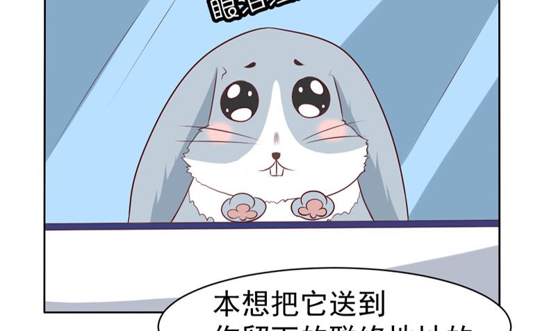 第15话 忘了他-第16话