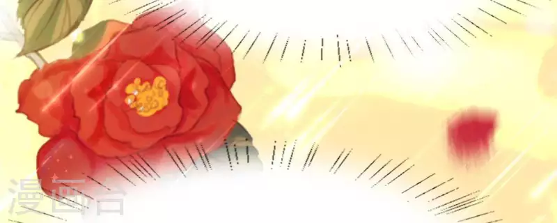 神明大人求放過 - 第72話 被撿到的小黑(1/2) - 6