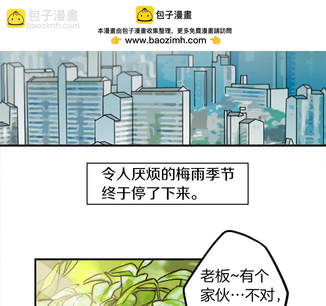 第34话 金主的投资！(1/2)-第34话