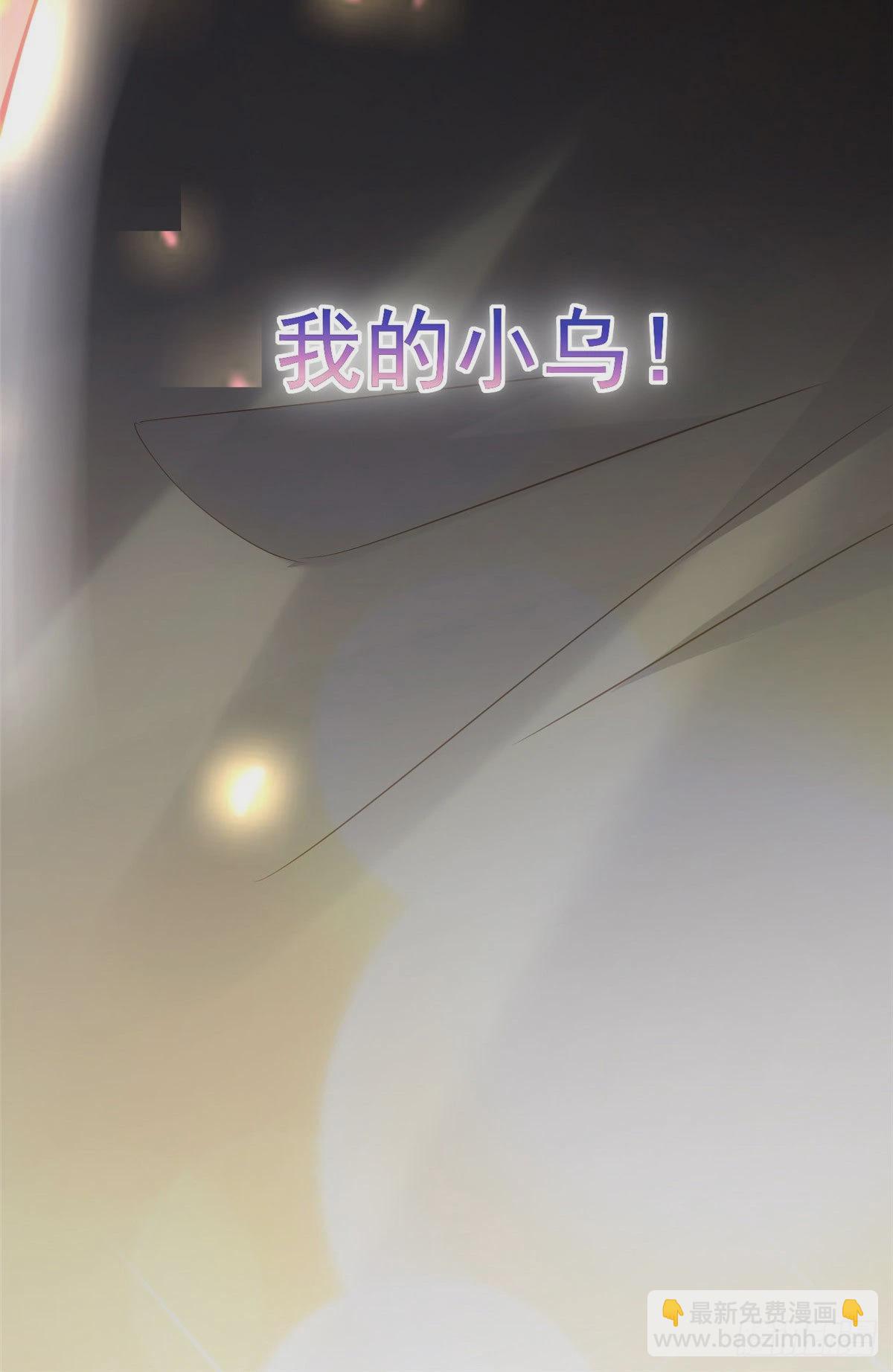 神秘枕邊人：boss，借個運 - 72 她真的就是我的小烏！(2/2) - 3