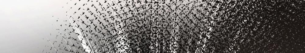 第22话 你是不是要杀我(1/2)-第22话