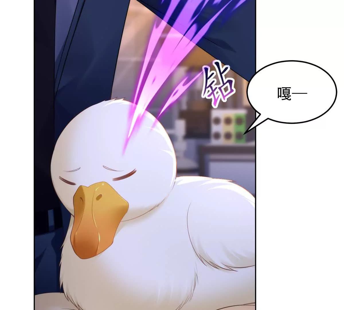 第17话 孔雀鱼暴露(1/3)-第18话