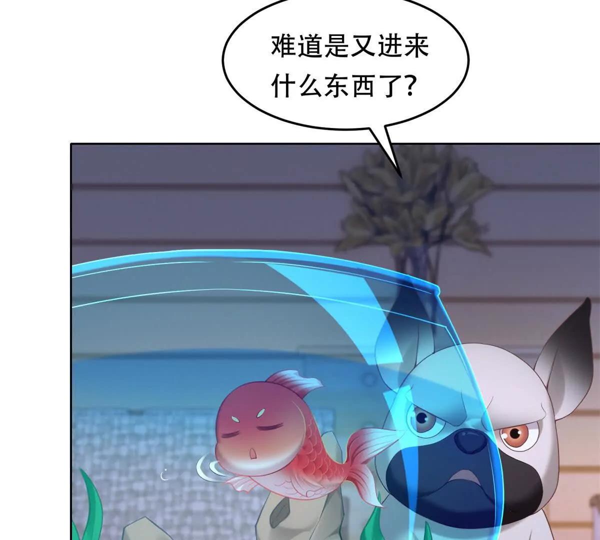 第17话 孔雀鱼暴露(1/3)-第18话