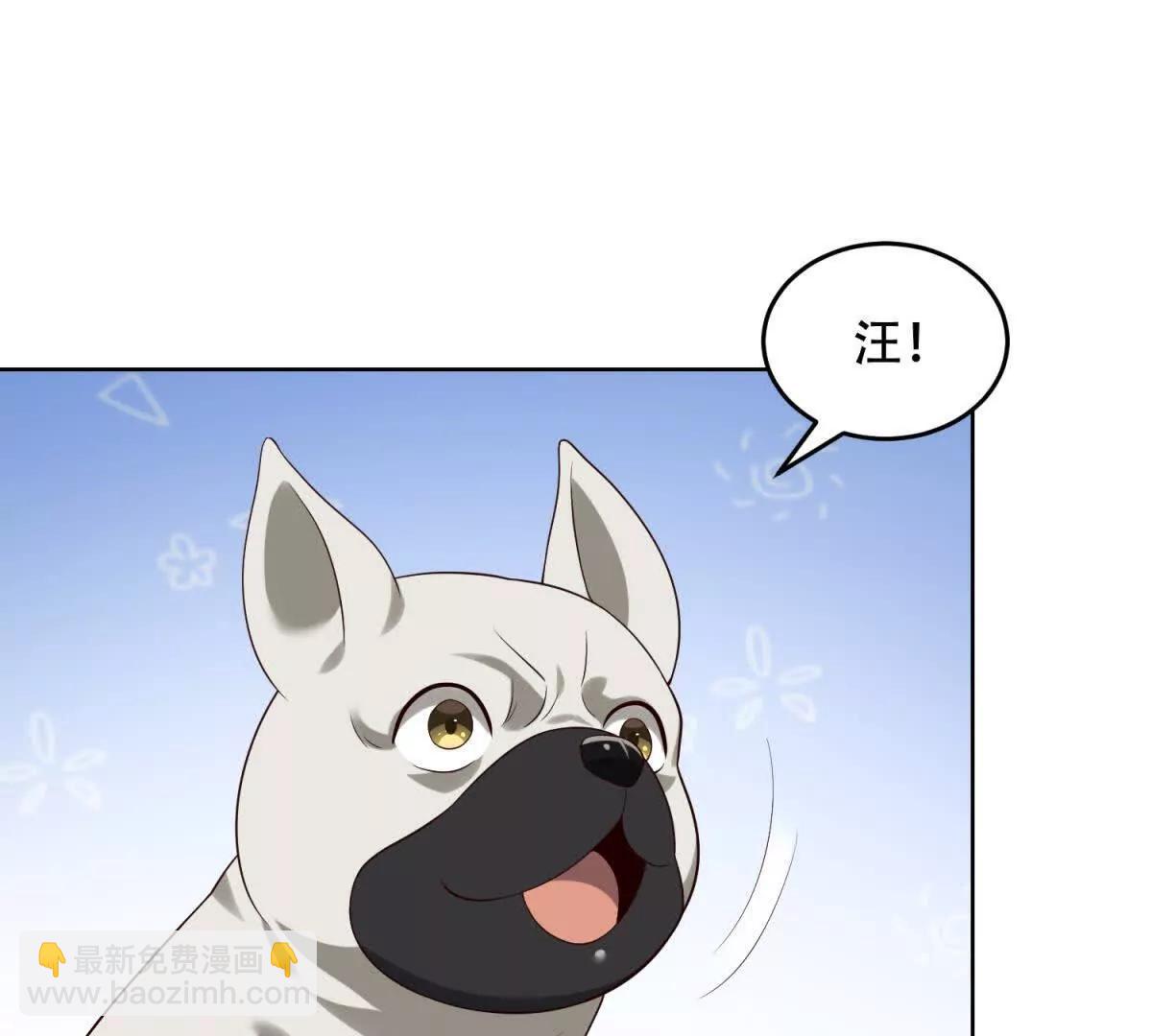 神奇寵物店 - 第27話 生病的路西法(1/3) - 2