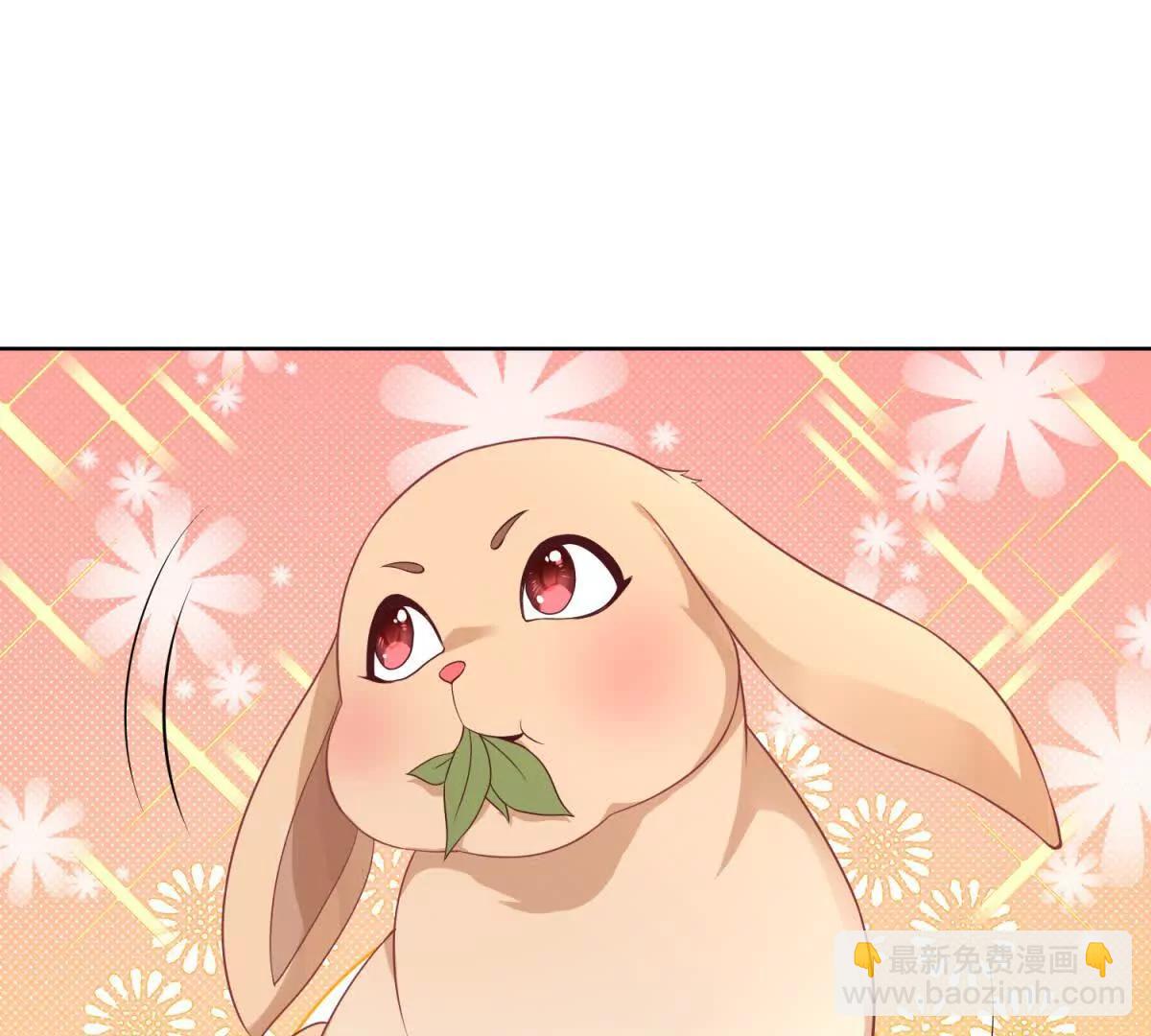 第5话 天堂鸟的羽毛(1/3)-第6话