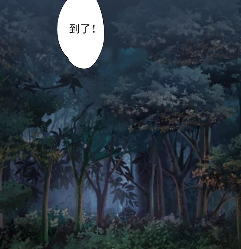 第24话 陪我看日出-第24话