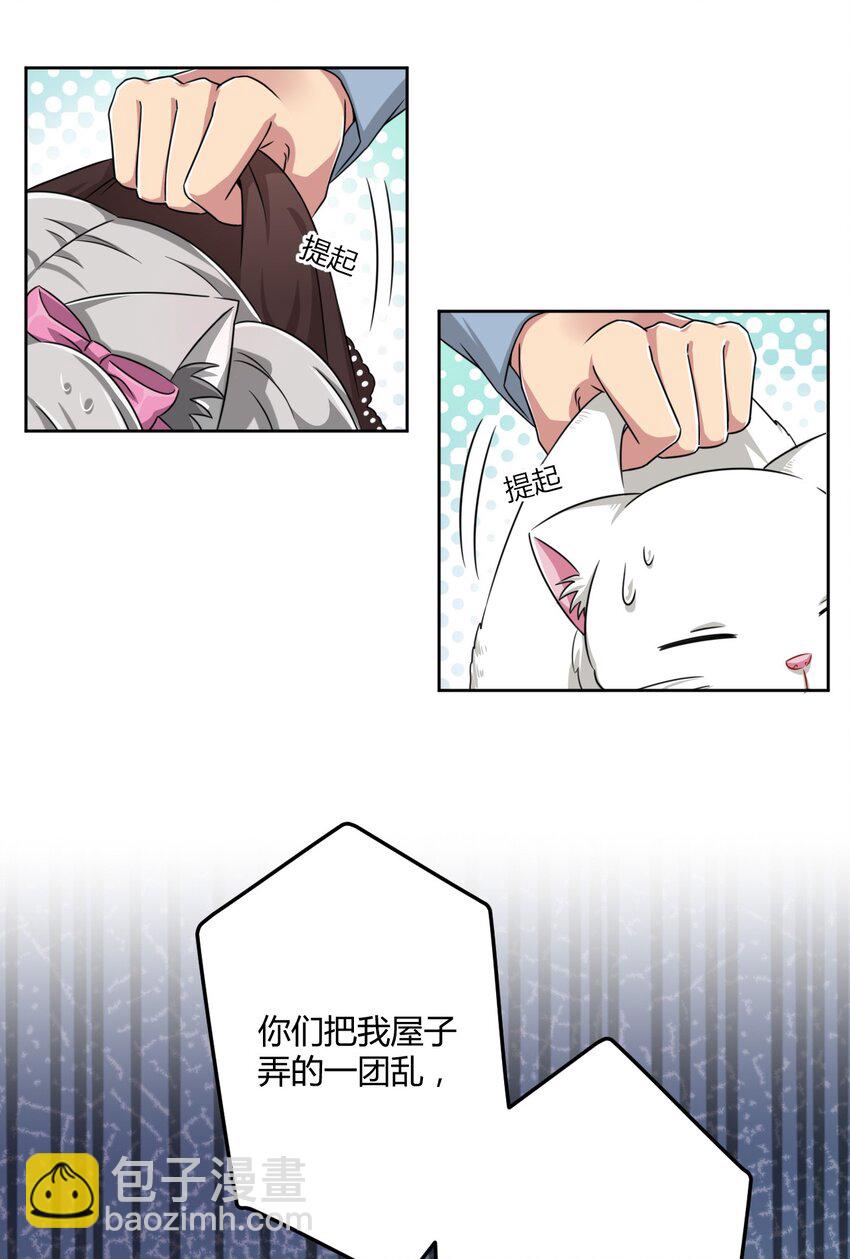 010 猫的报&ldquo;恩&rdquo;-第10话