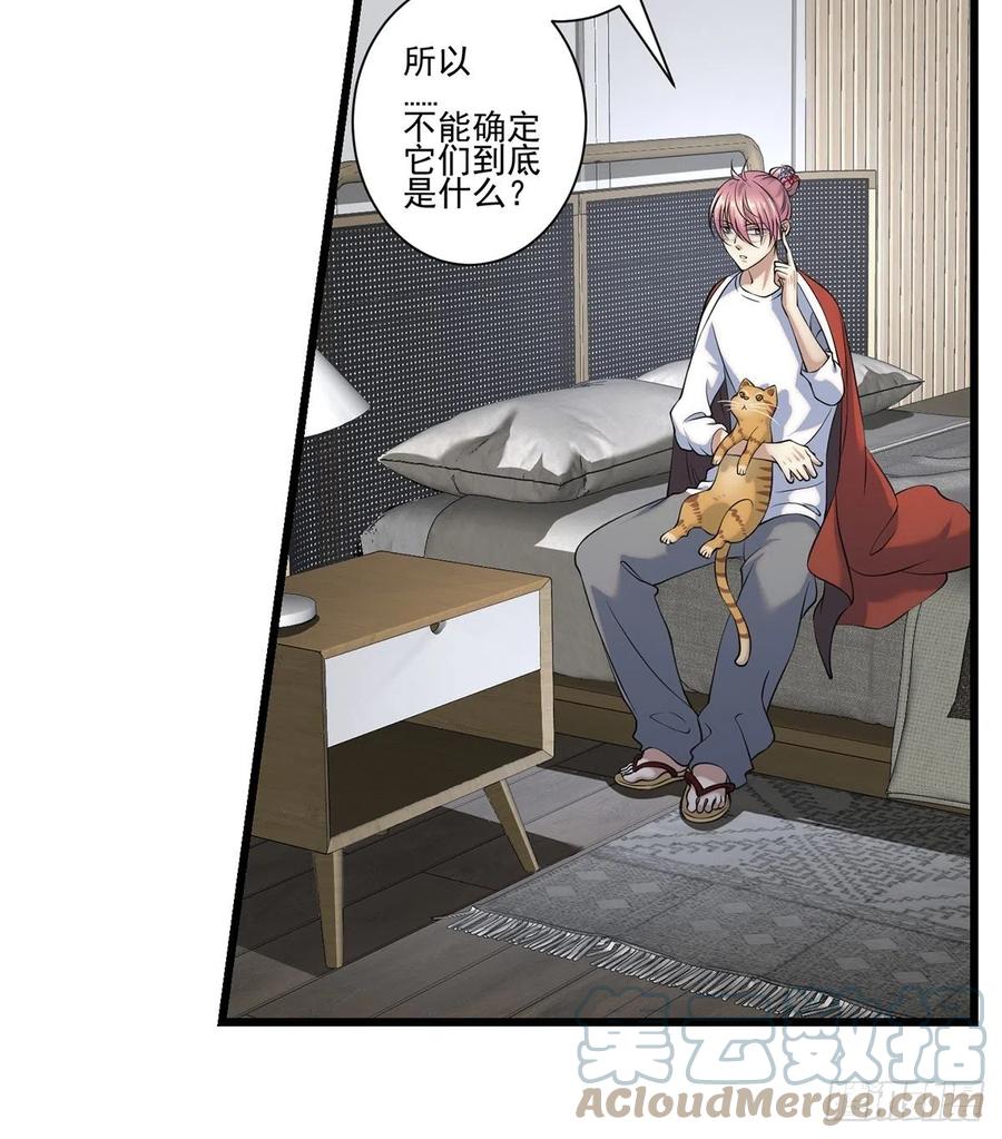 猫灵2(1/2)-第28话