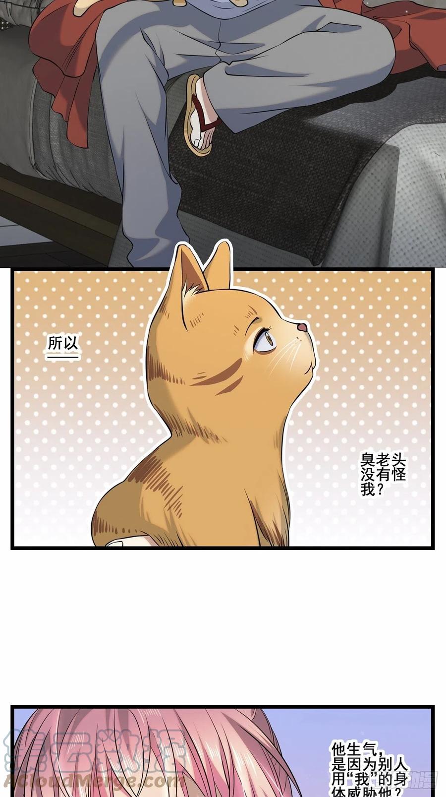 猫灵2(1/2)-第28话