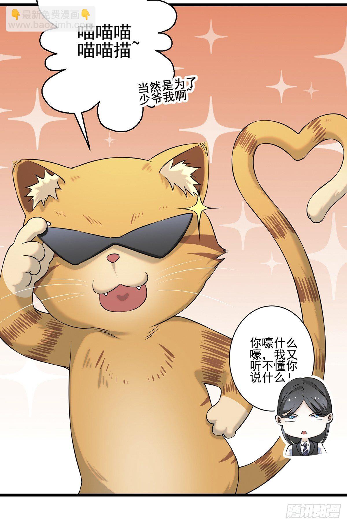 猫灵4(1/2)-第30话