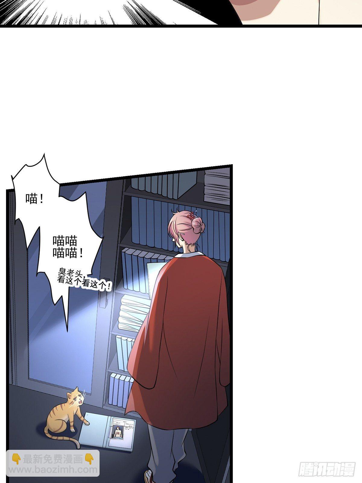 猫灵4(1/2)-第30话