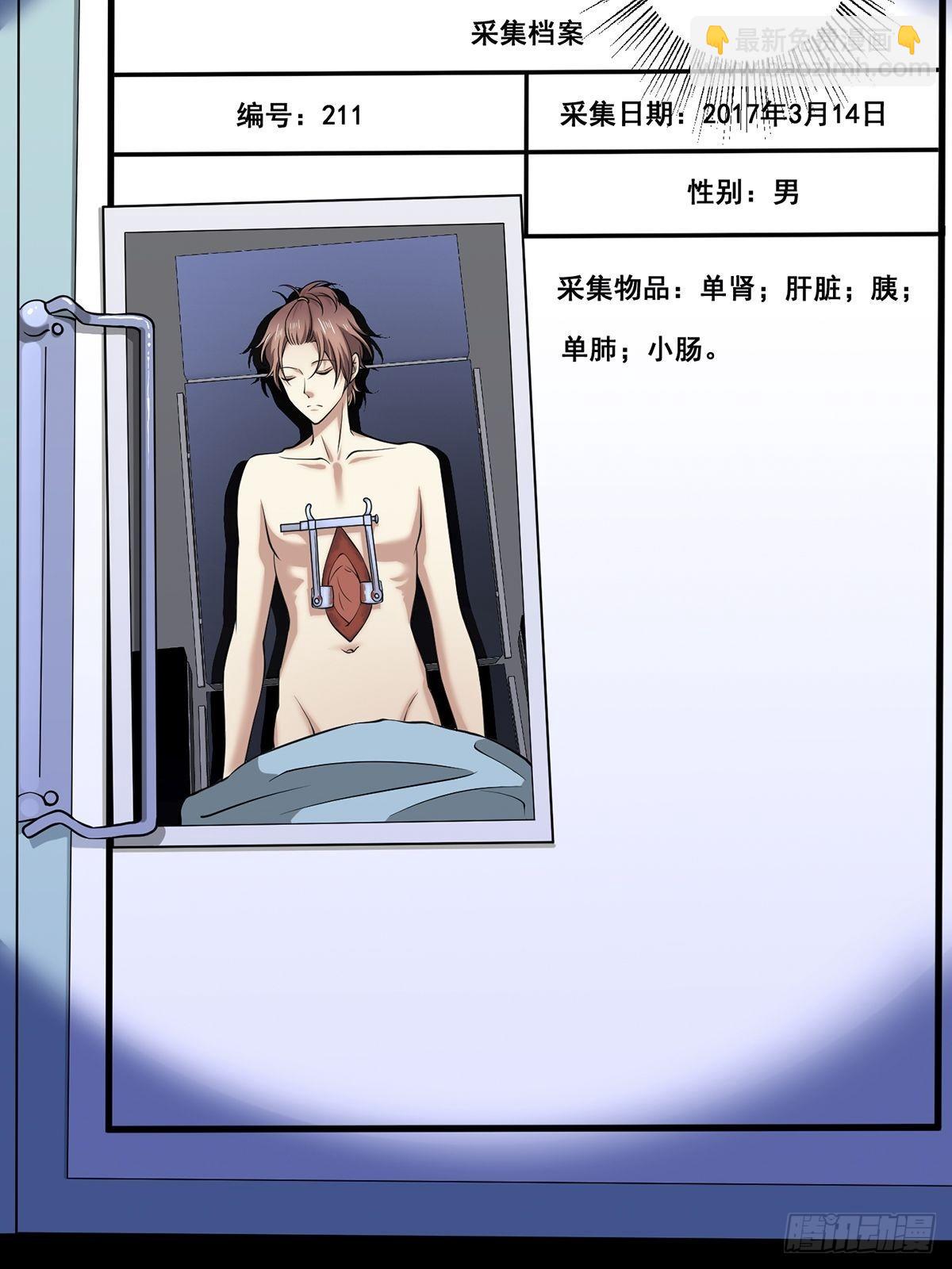 猫灵4(1/2)-第30话