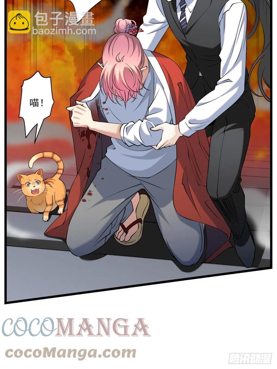 猫灵6(1/2)-第32话