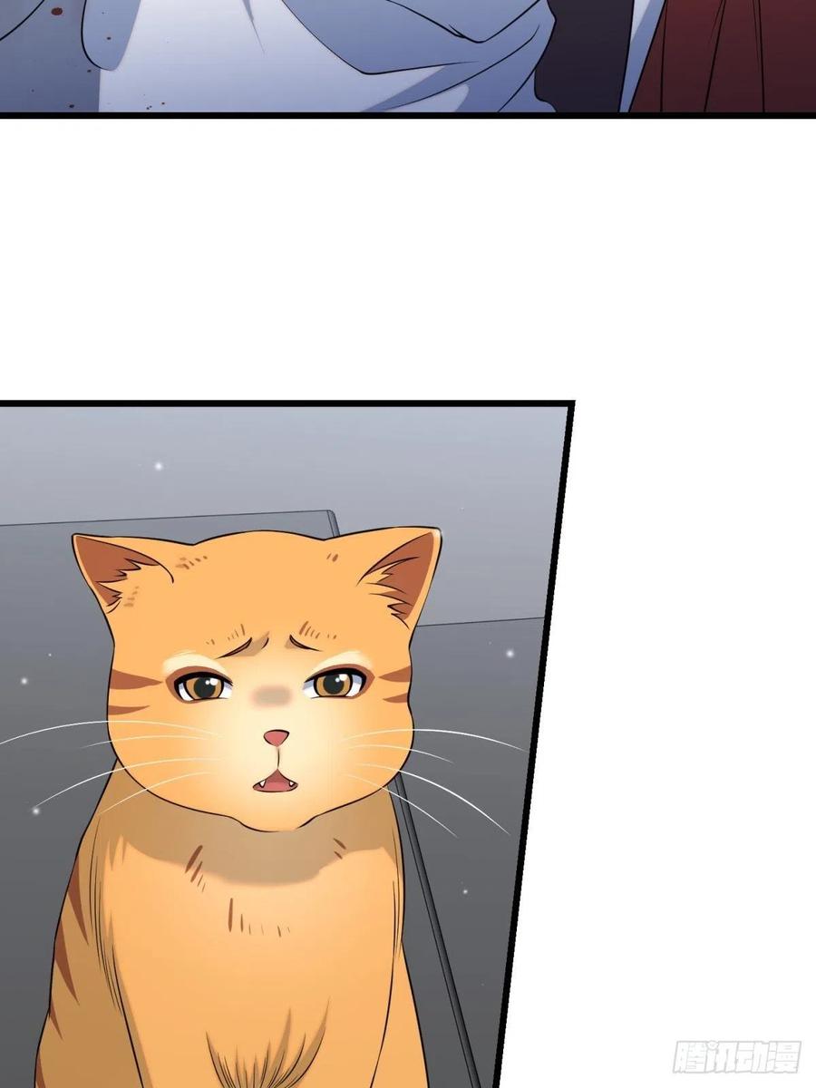猫灵6(1/2)-第32话