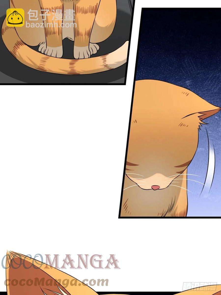 猫灵6(1/2)-第32话