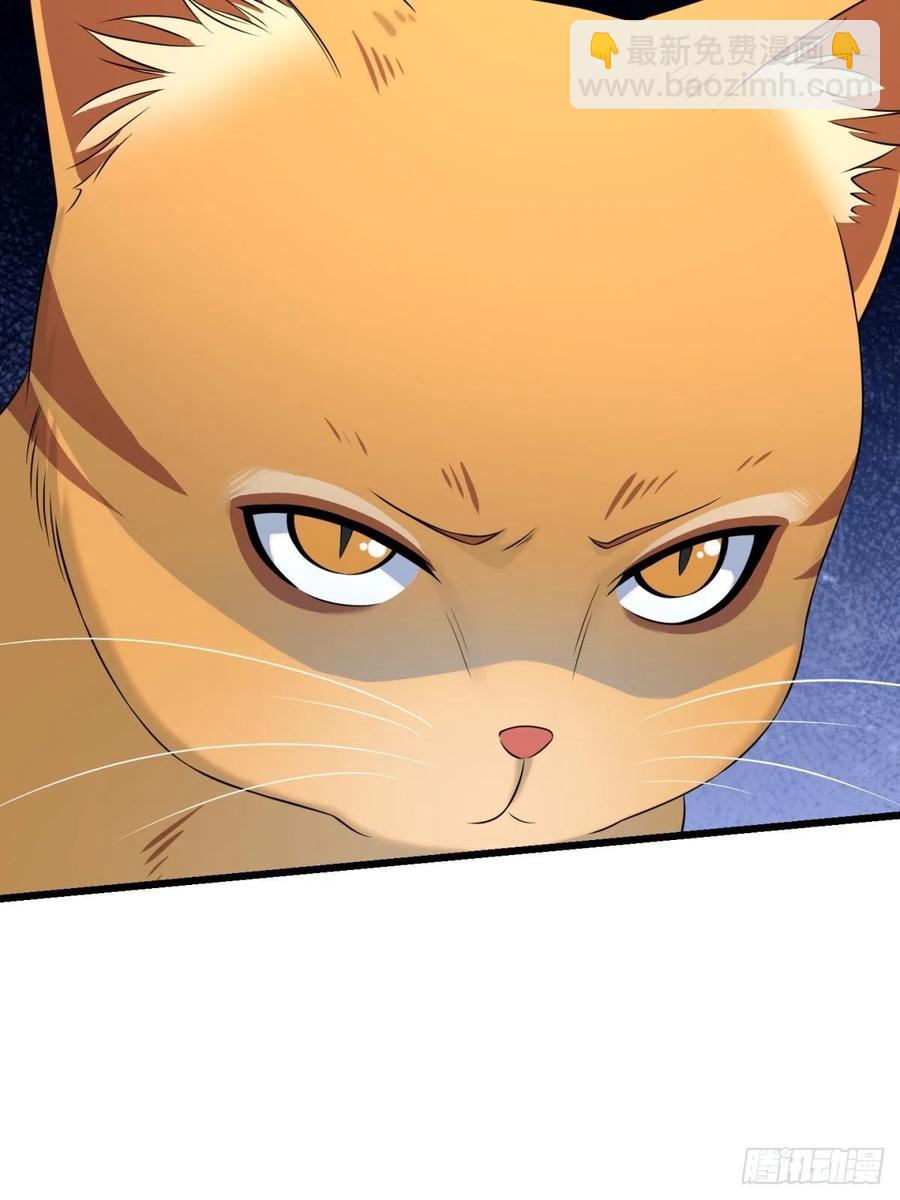 猫灵6(1/2)-第32话