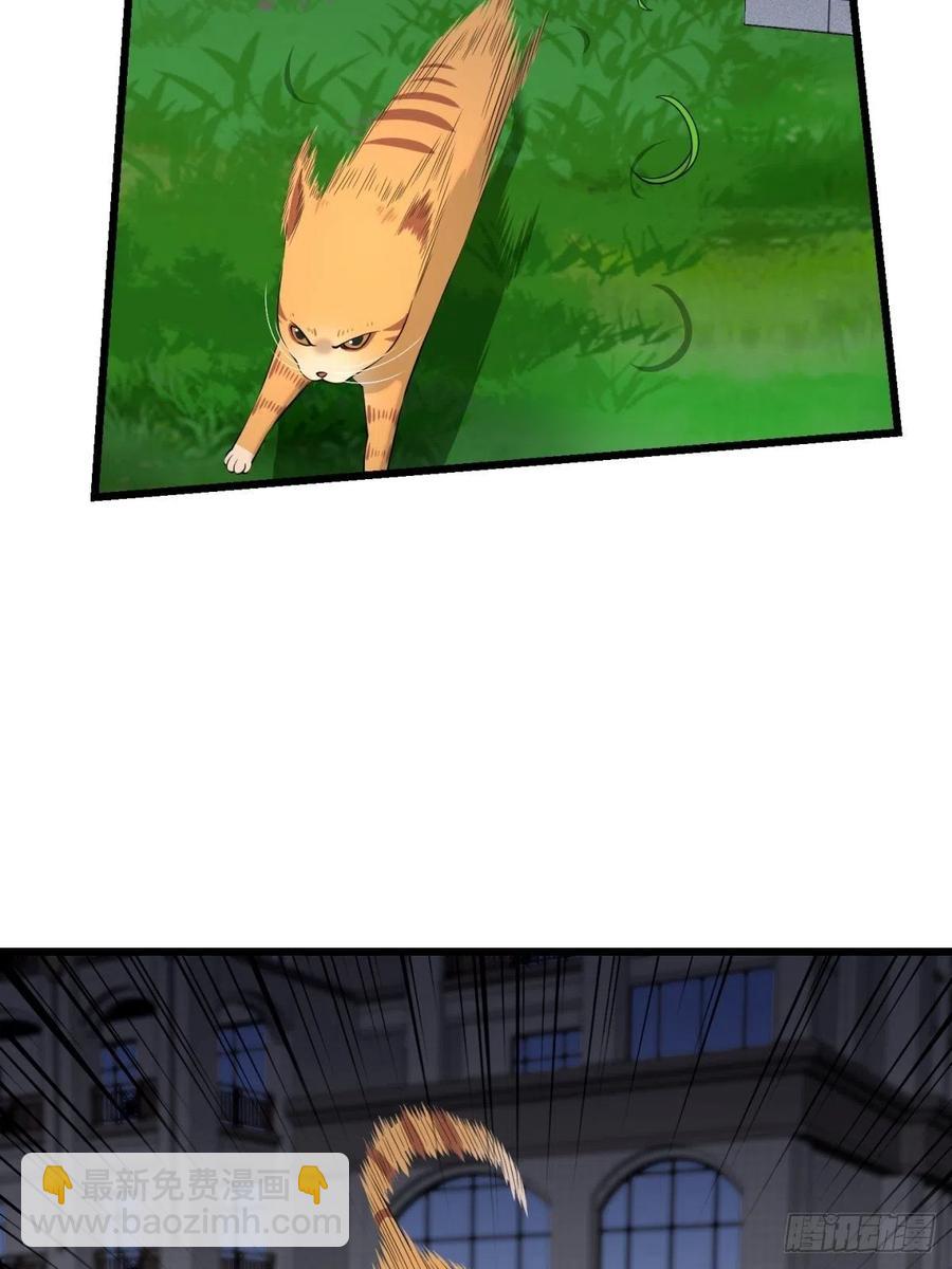 猫灵6(1/2)-第32话