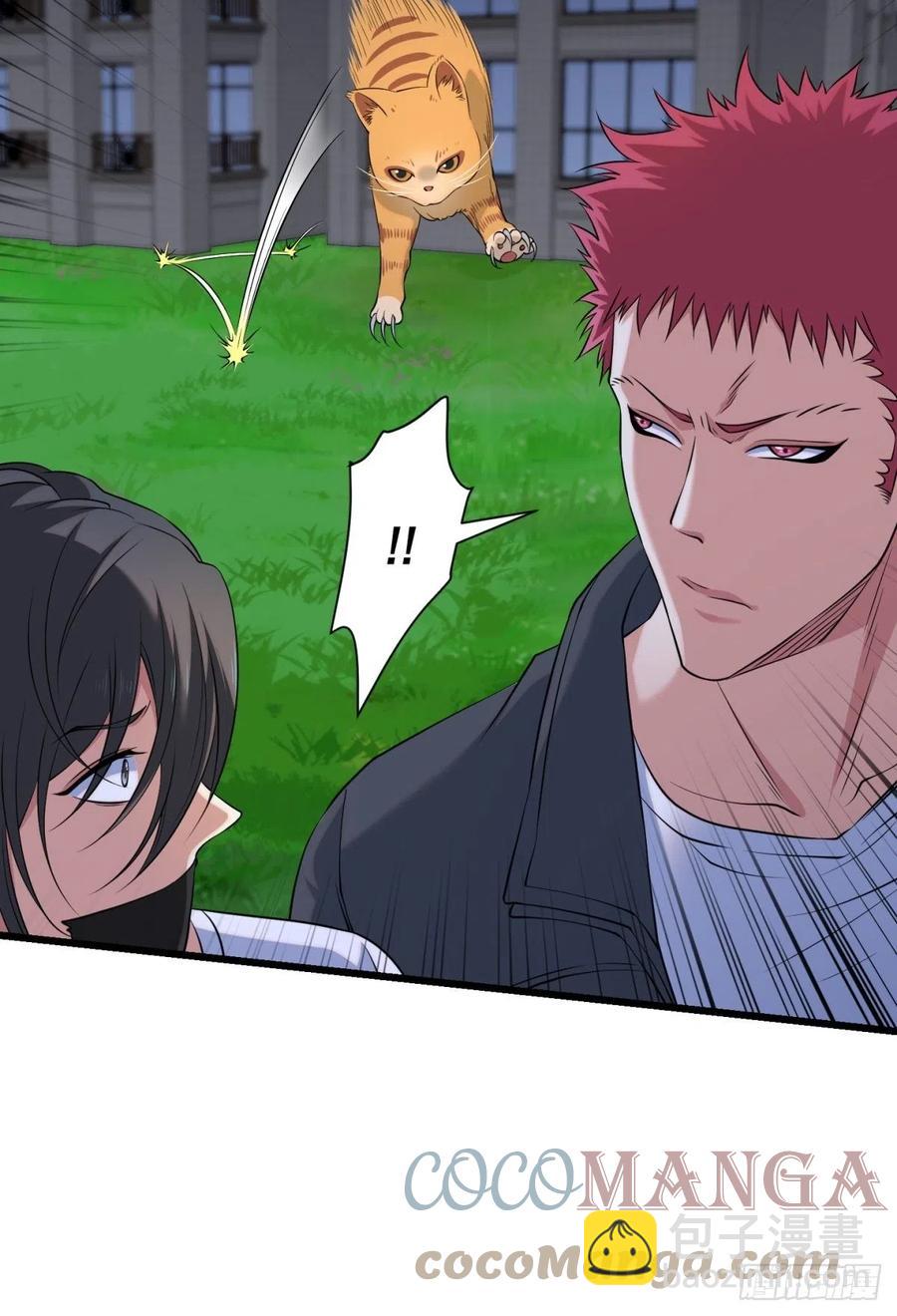 猫灵6(1/2)-第32话