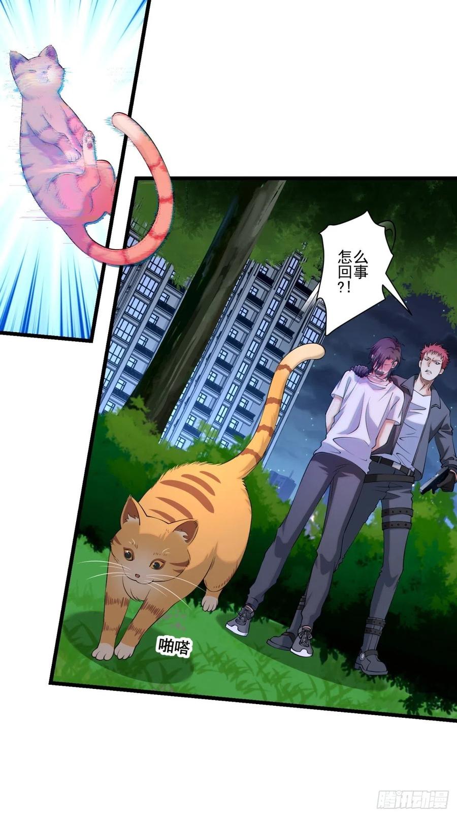 猫灵6(1/2)-第32话