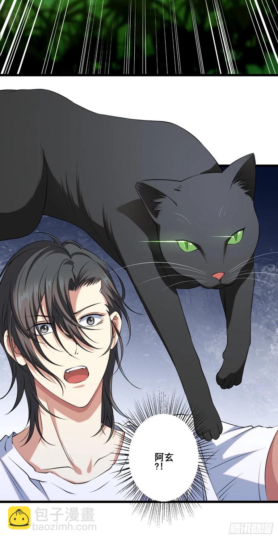 猫灵6(1/2)-第32话