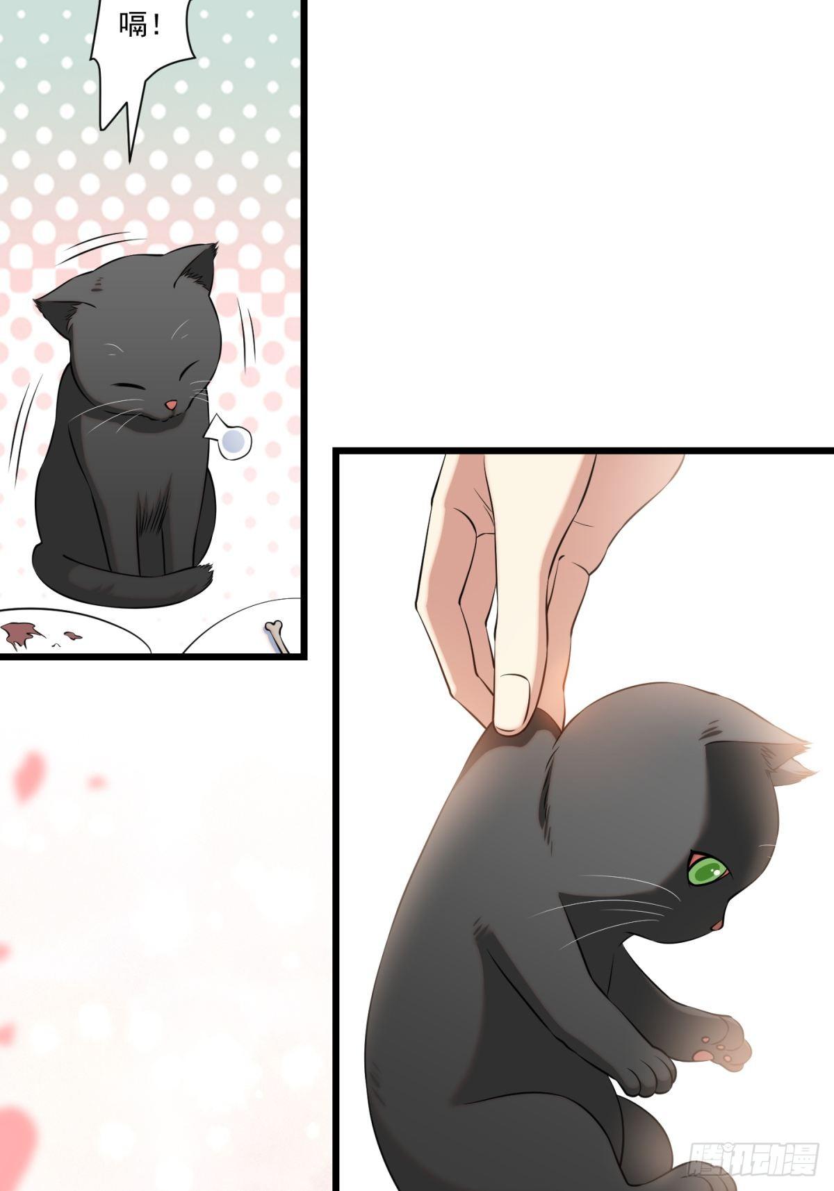 猫灵8(1/2)-第34话