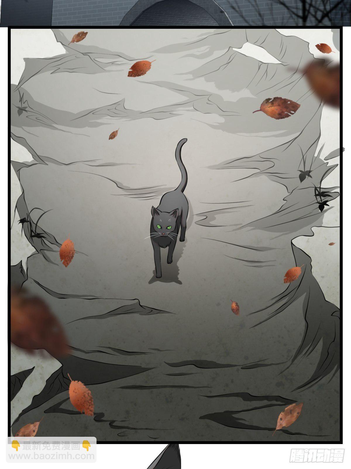 猫灵8(1/2)-第34话