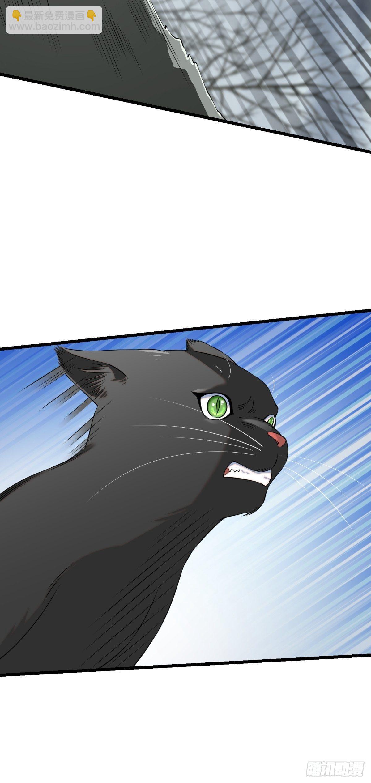 猫灵8(1/2)-第34话