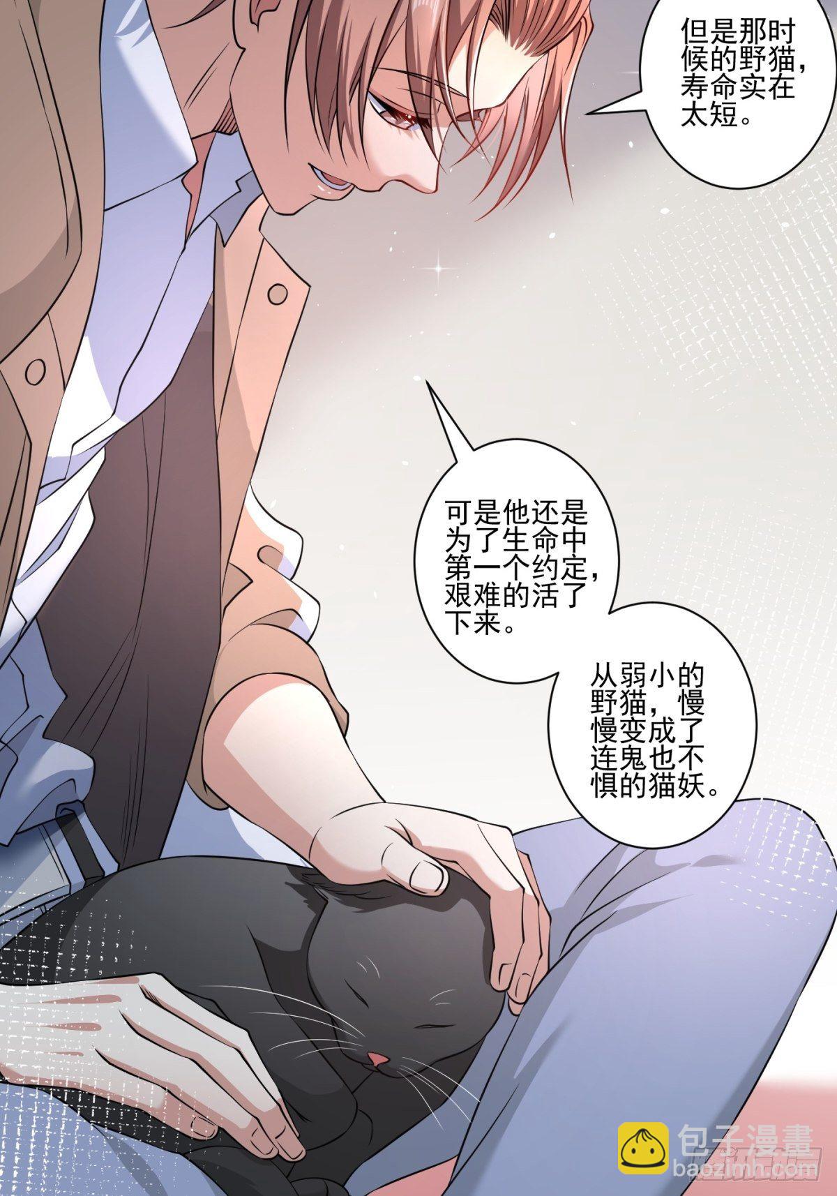 猫灵8(1/2)-第34话