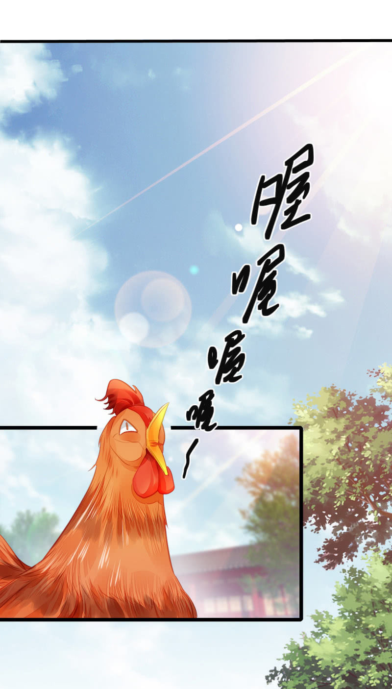 珠钗的下落(1/2)-第16话