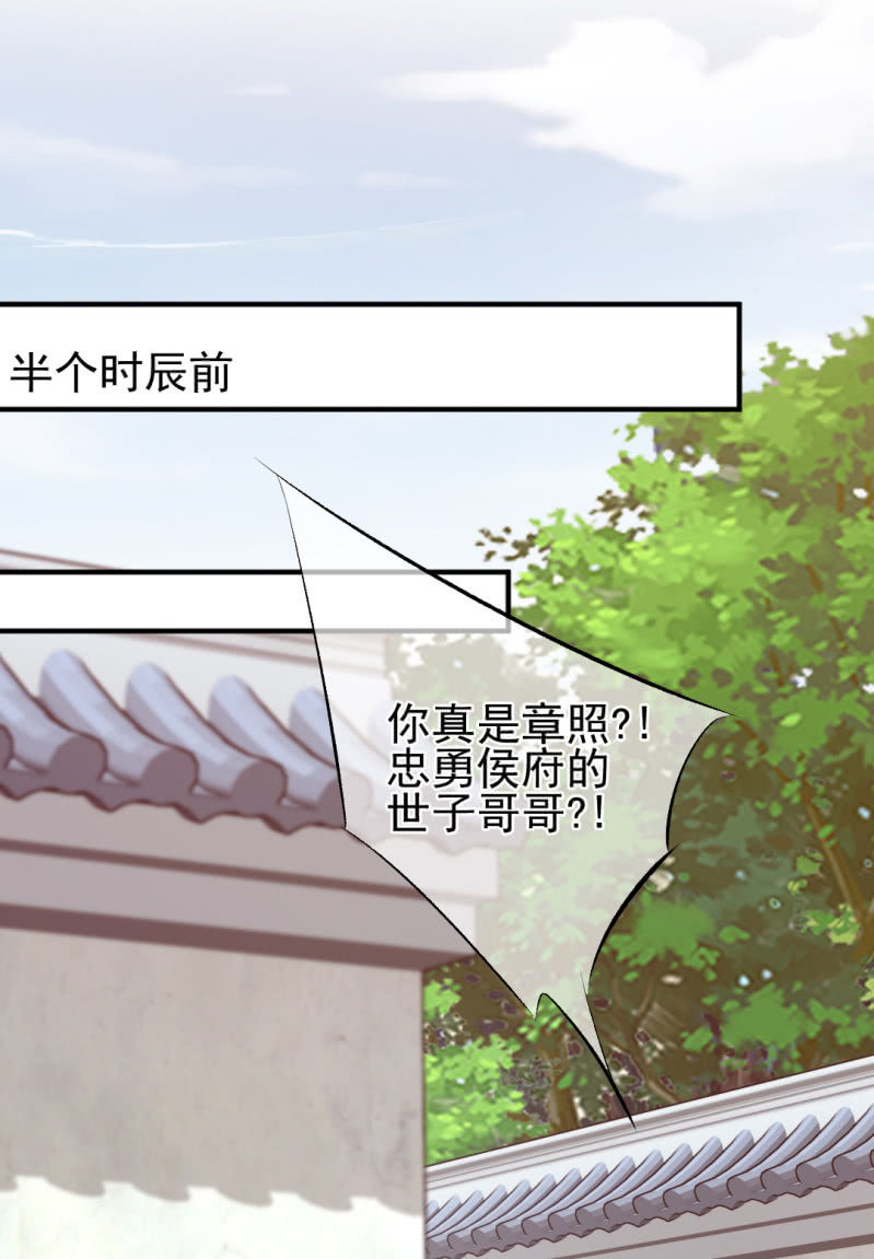 苏苏和世子哥哥(1/2)-第28话