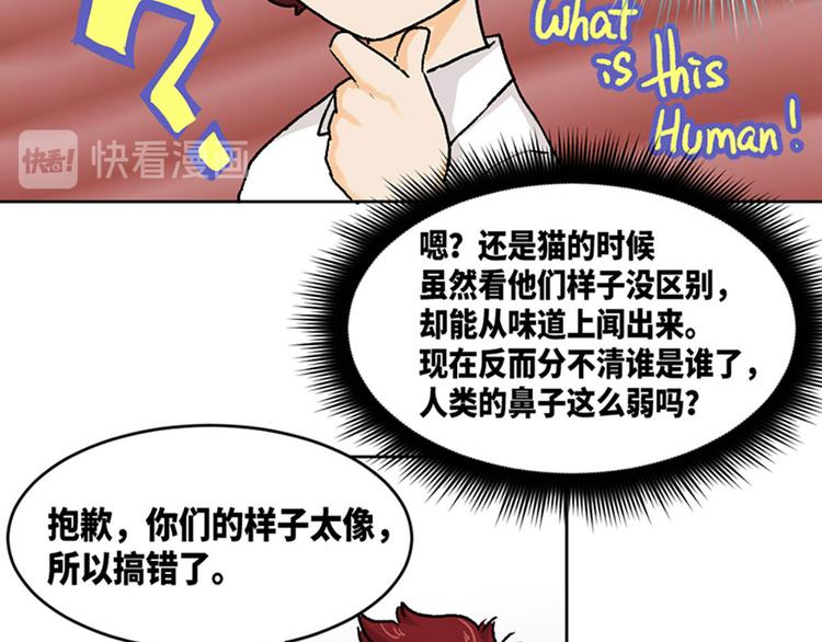 第19话(1/2)-第20话