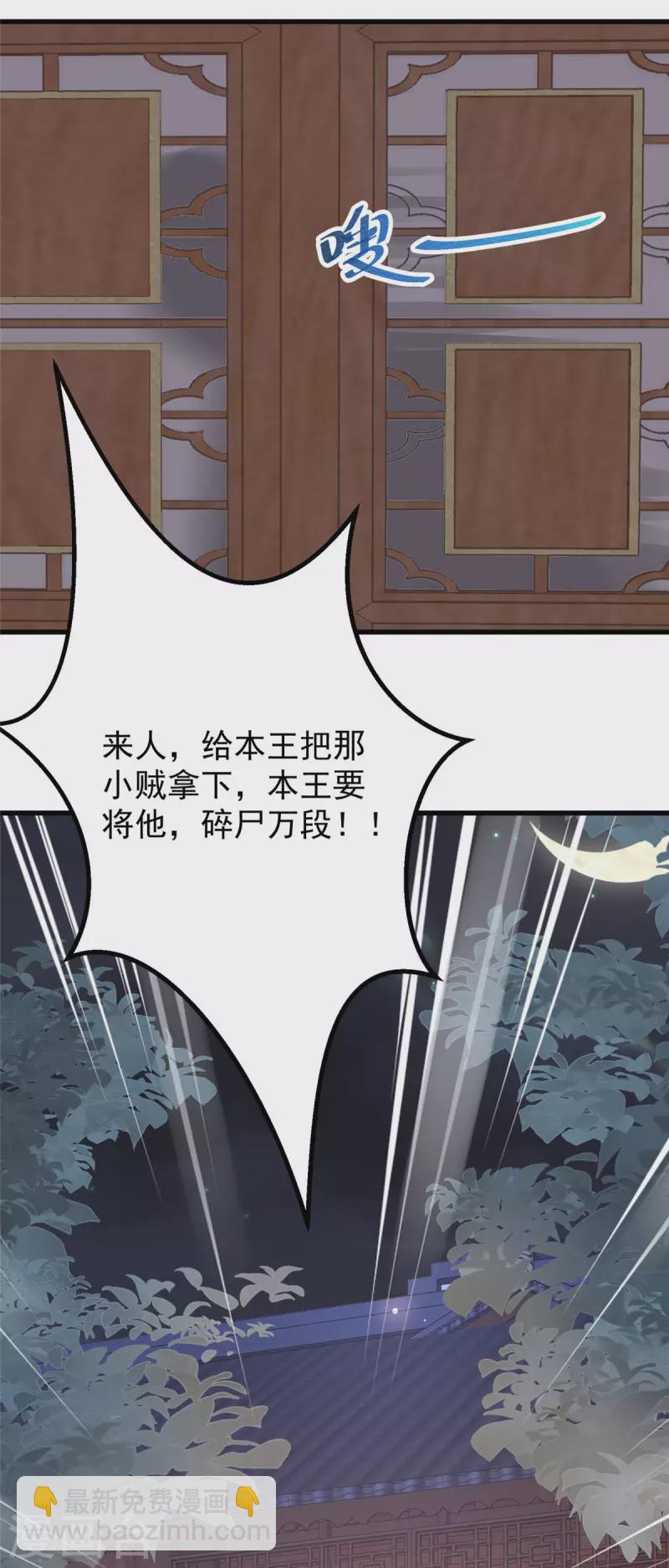 神偷王妃：我家王爺惹不起 - 第1話 被輕薄了的帥哥 - 3