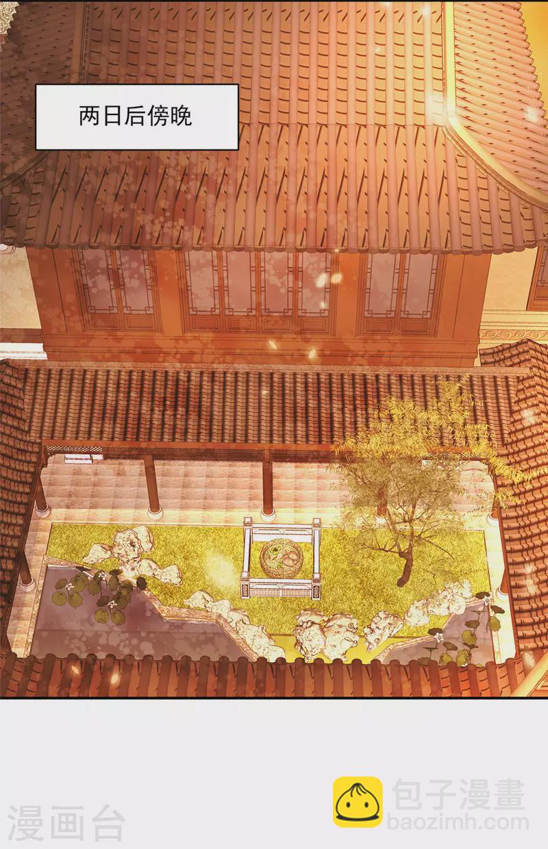 神偷王妃：我家王爺惹不起 - 第9話 大哥會一直在你身邊 - 1