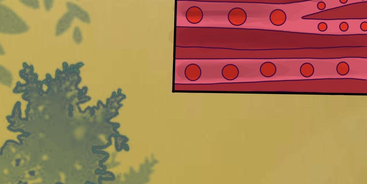 都是太阳惹的祸(1/2)-第16话