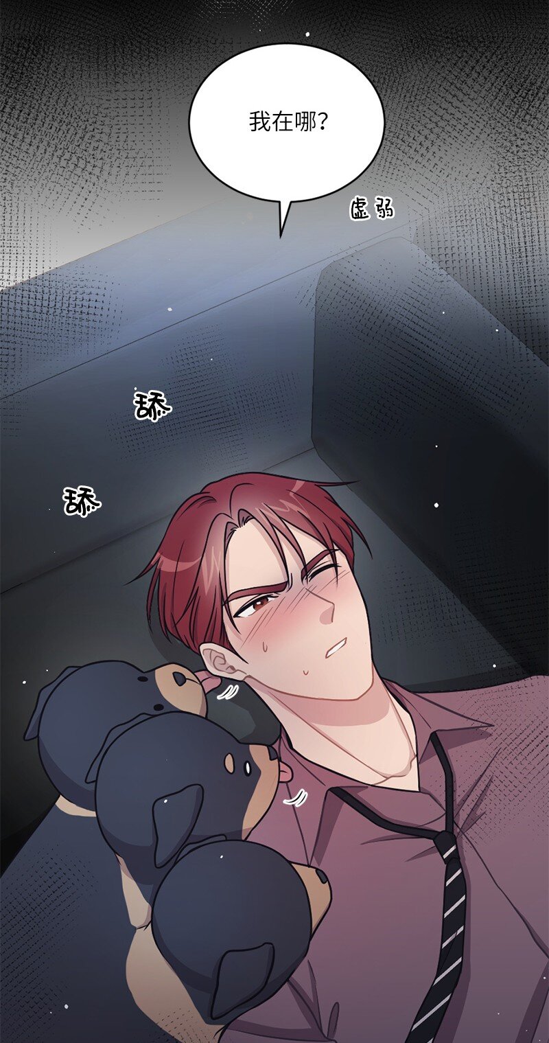 31 丹迪晕倒了(1/2)-第32话