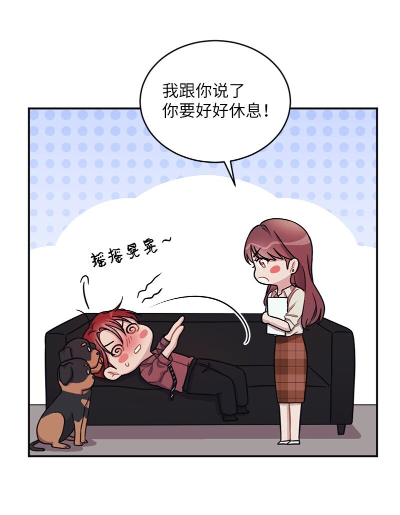 31 丹迪晕倒了(1/2)-第32话