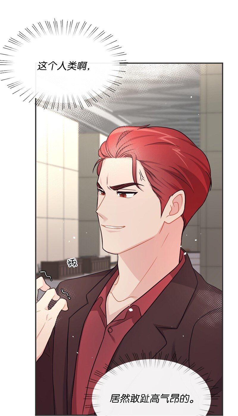 05 丹迪的难言之隐(1/2)-第6话