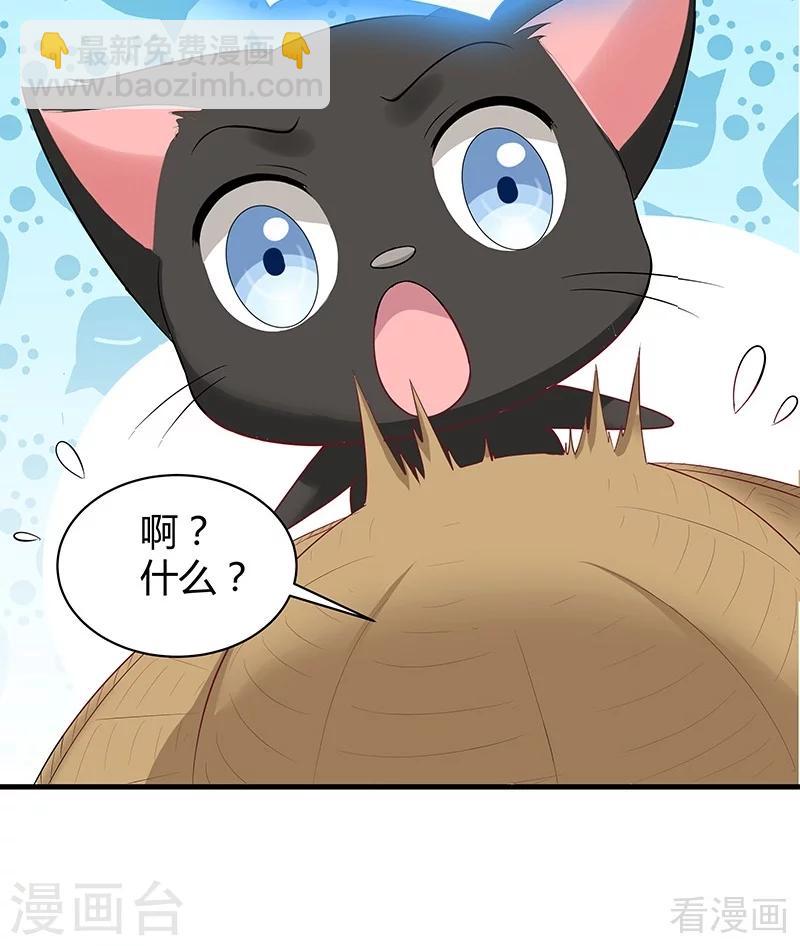 第16话 修炼释灵丹-第16话