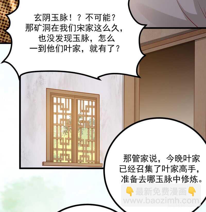 第48话 叶家危机-第38话