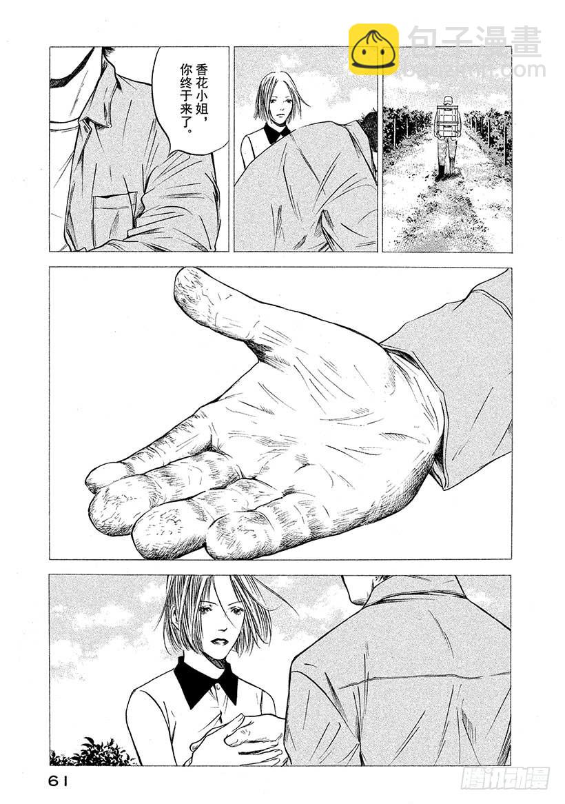 神之雫（神之水滴） - #412 葡萄的勳章 - 3