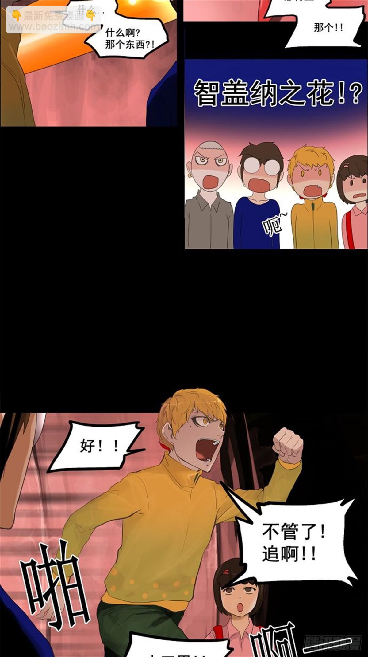 17.jpg
