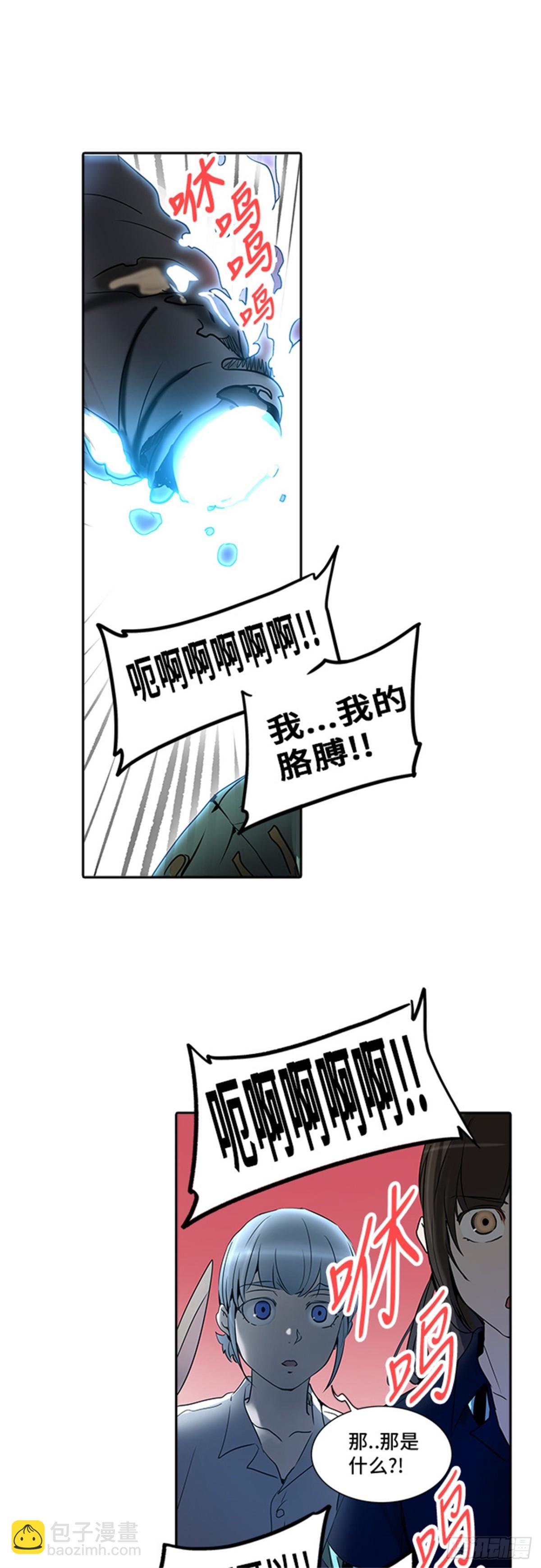 41.jpg
