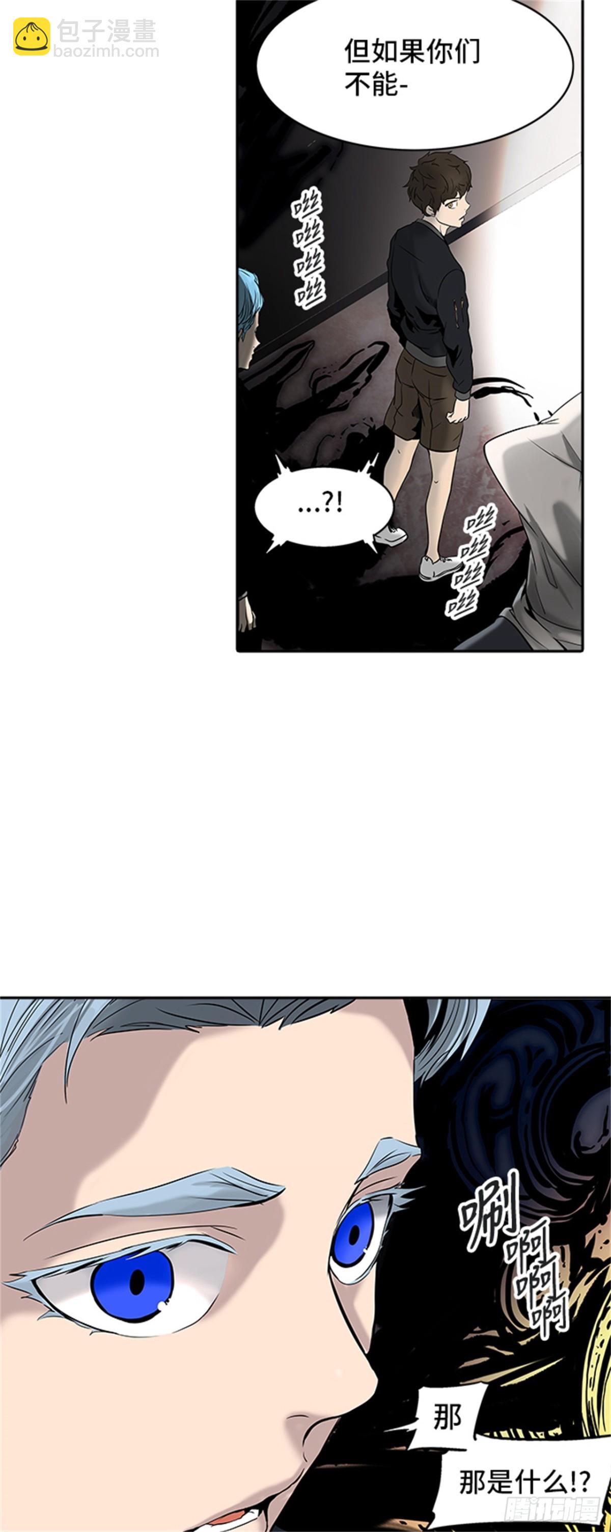 41.jpg