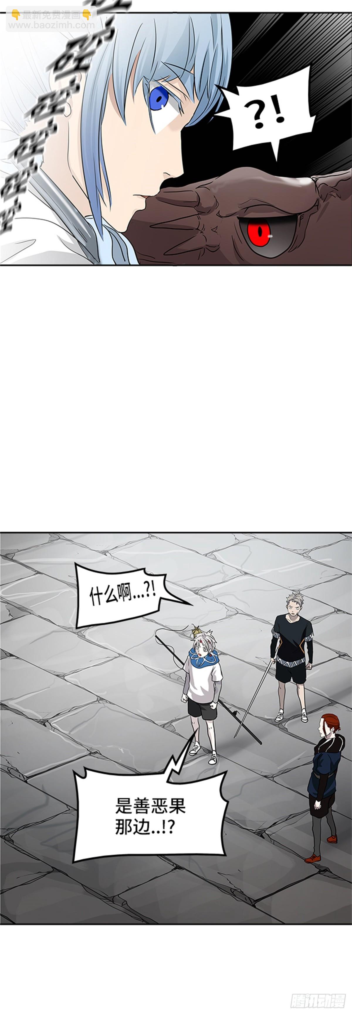 41.jpg
