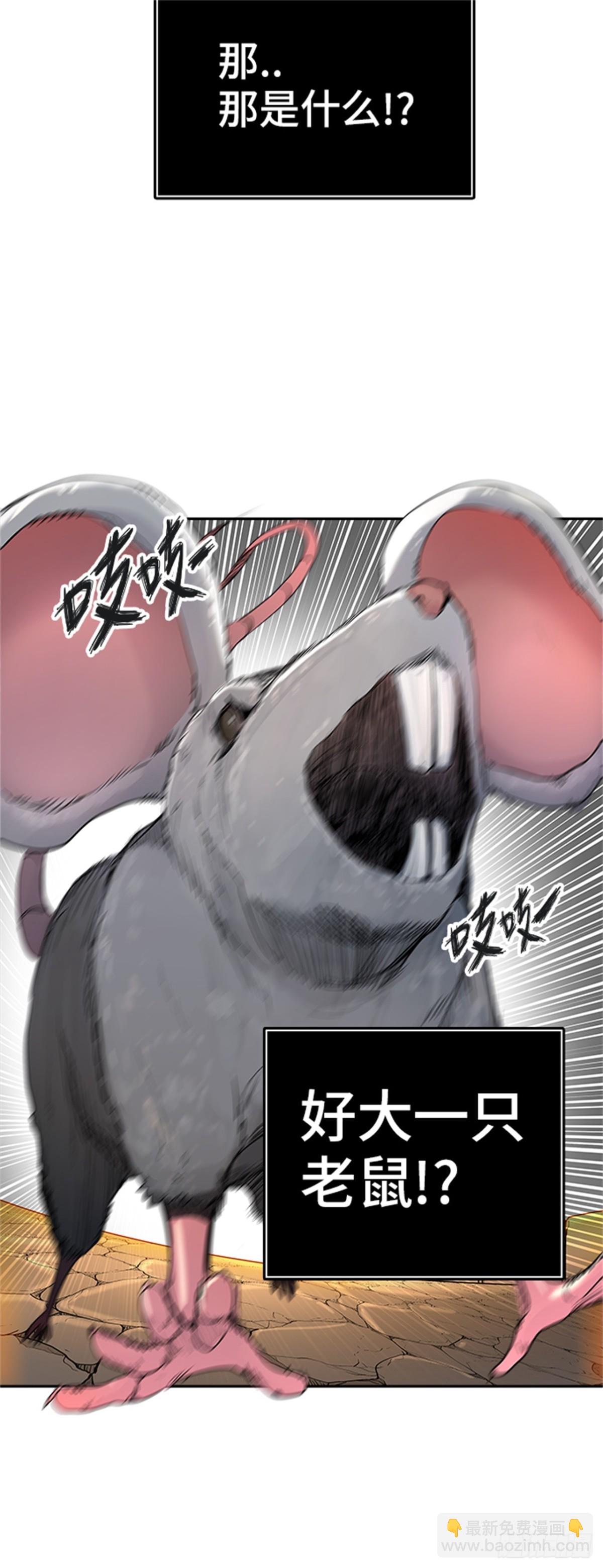 61.jpg